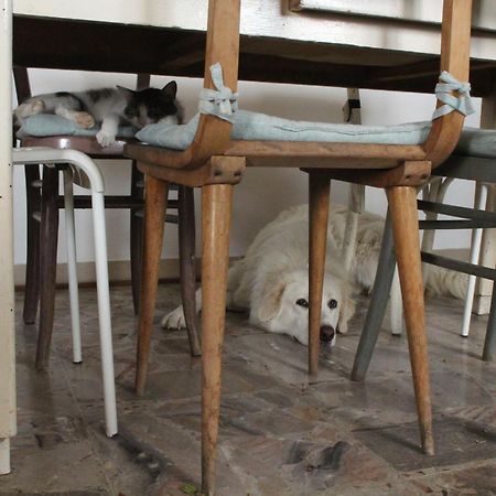 Appartamento Casa Formica San Pietro di Recanati Esterno foto